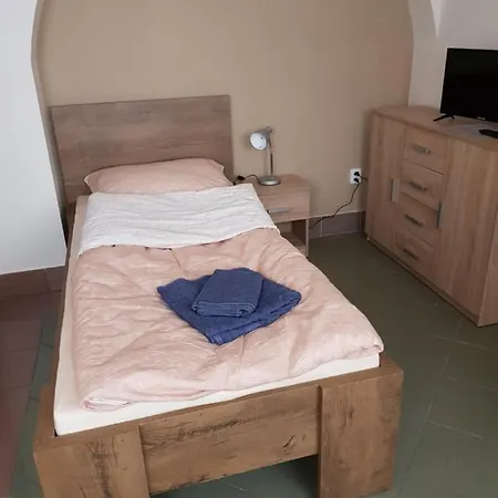 Guest house Penzion Cerhenice *