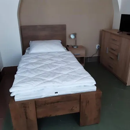 Guest house Penzion Cerhenice *