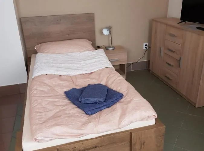 Guest house Penzion Cerhenice *