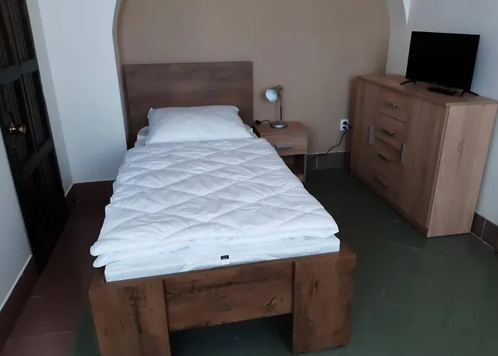 Guest house Penzion Cerhenice *