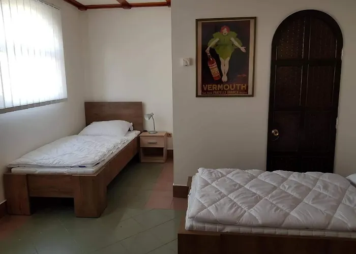 Guest house Penzion Cerhenice